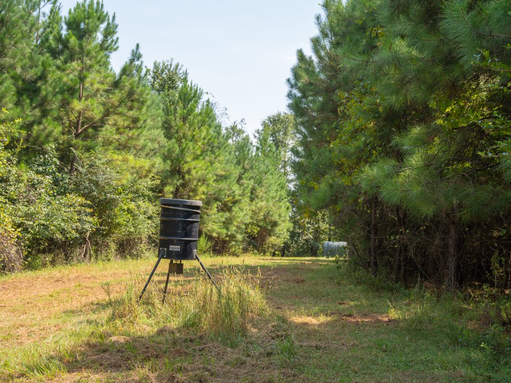 Image for 194+/- Acres - Holloway Place - Macon, Schley, & Sumter Counties, GA