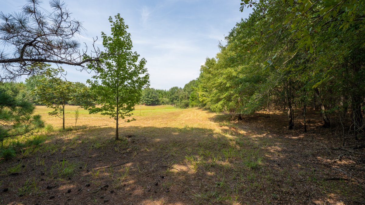 Image for 194+/- Acres - Holloway Place - Macon, Schley, & Sumter Counties, GA