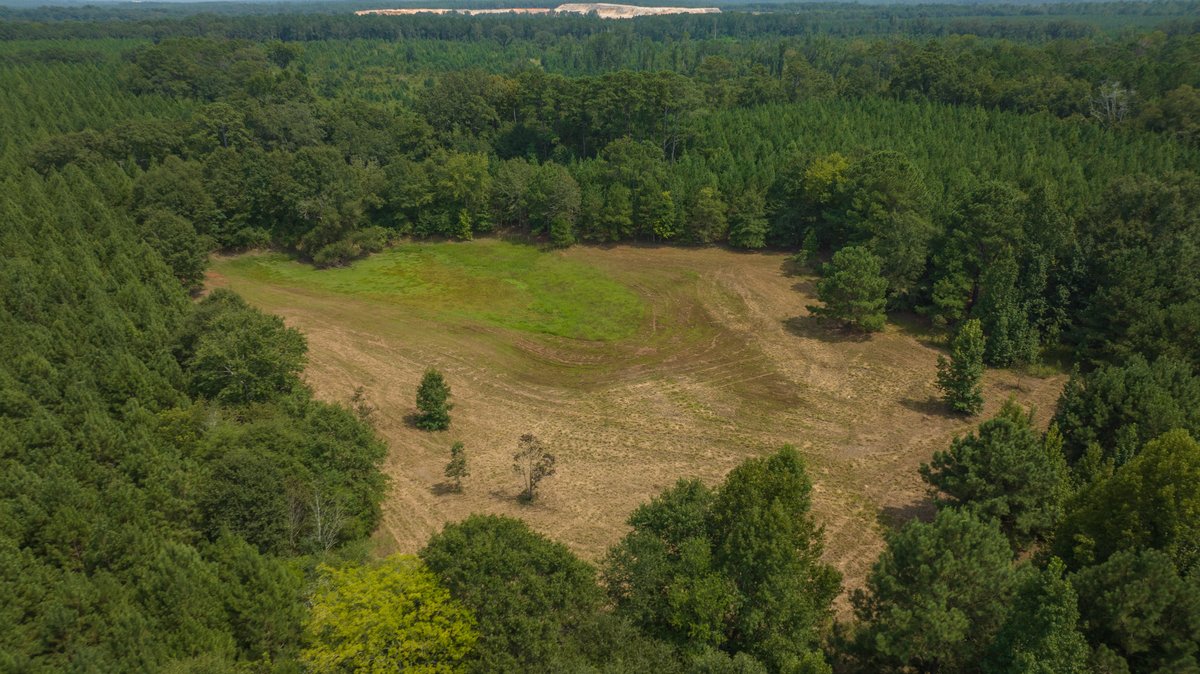 Image for 194+/- Acres - Holloway Place - Macon, Schley, & Sumter Counties, GA
