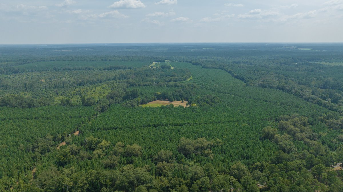 Image for 194+/- Acres - Holloway Place - Macon, Schley, & Sumter Counties, GA