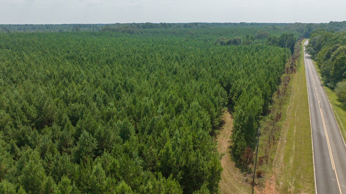 Image for 194+/- Acres - Holloway Place - Macon, Schley, & Sumter Counties, GA