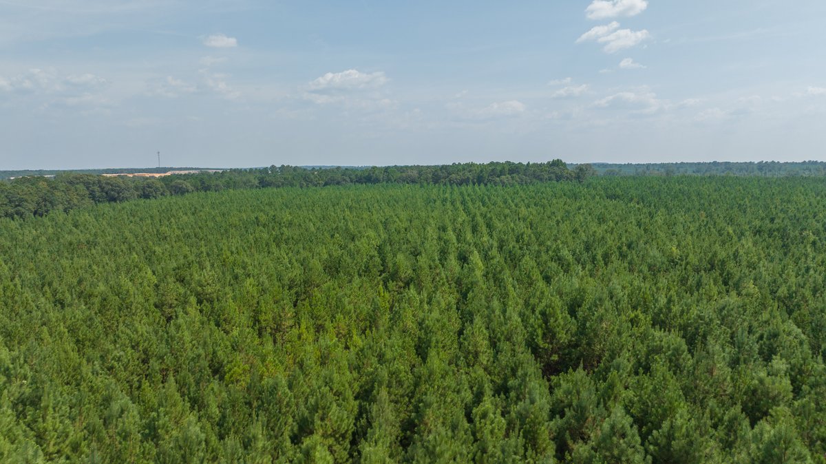 Image for 194+/- Acres - Holloway Place - Macon, Schley, & Sumter Counties, GA