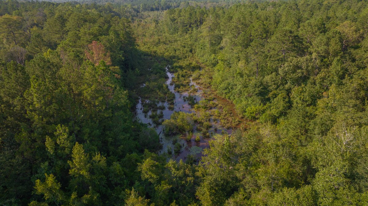 Image for 136+/- Acres - Shipp Place - Macon County, GA