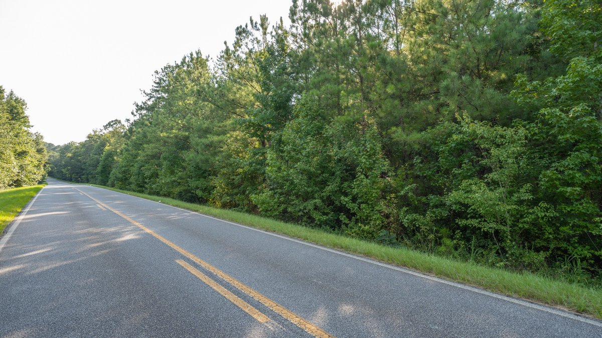 Image for 136+/- Acres - Shipp Place - Macon County, GA