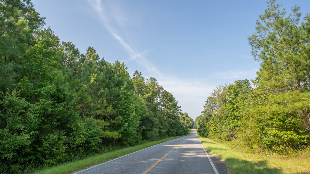 Image for 136+/- Acres - Shipp Place - Macon County, GA