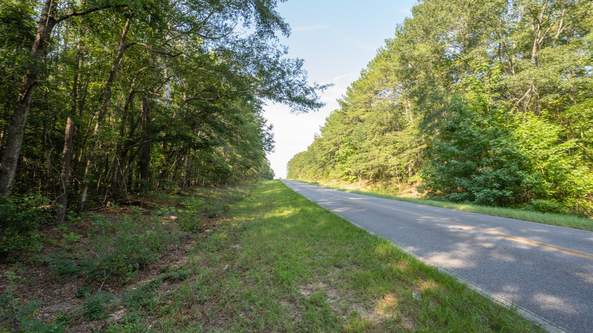 Image for 136+/- Acres - Shipp Place - Macon County, GA
