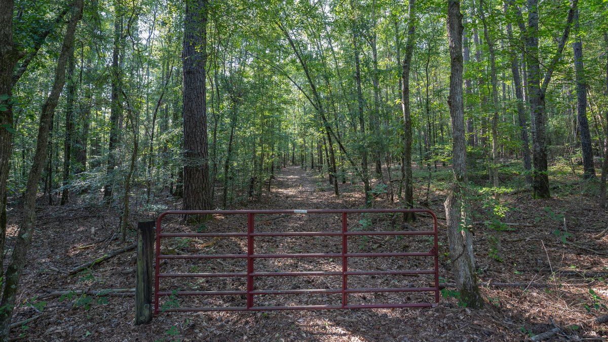 Image for 136+/- Acres - Shipp Place - Macon County, GA