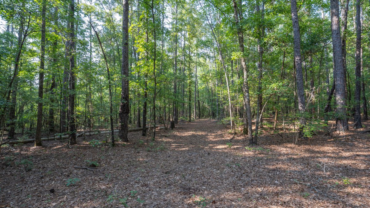 Image for 136+/- Acres - Shipp Place - Macon County, GA
