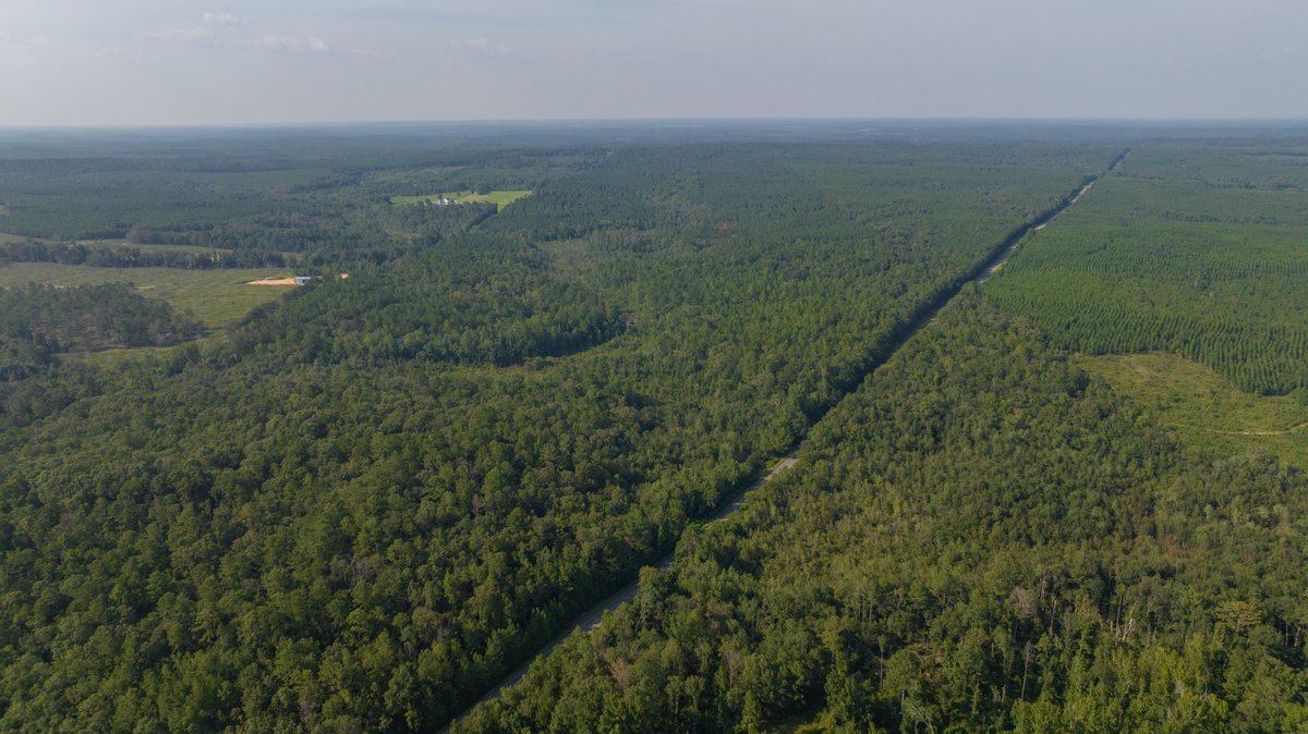 Image for 136+/- Acres - Shipp Place - Macon County, GA