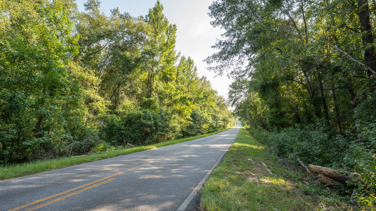 Image for 136+/- Acres - Shipp Place - Macon County, GA