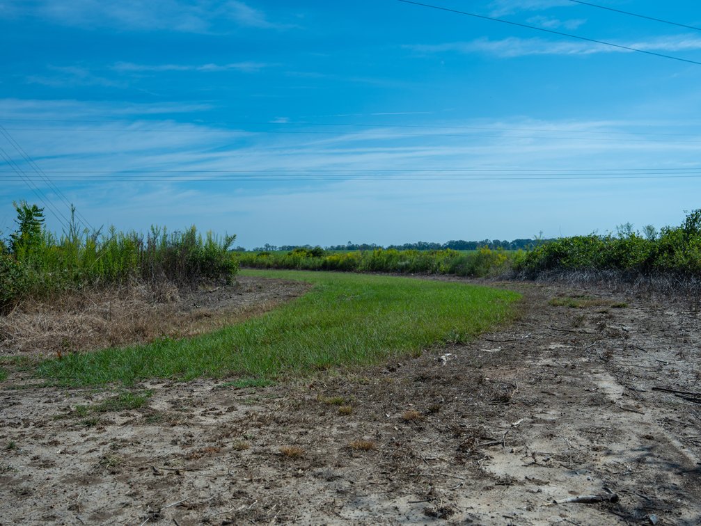 Image for 75+/- Acres - Vines Grove - Turn-Key Pecan Operation