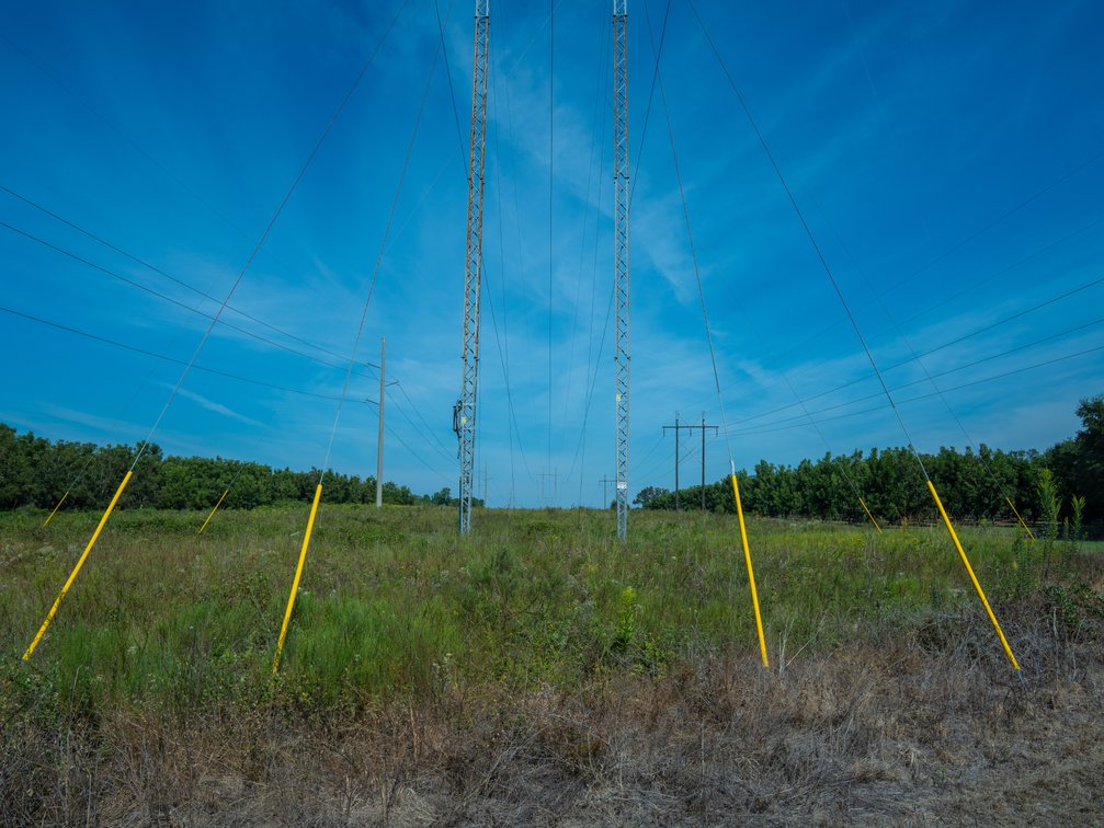 Image for 75+/- Acres - Vines Grove - Turn-Key Pecan Operation
