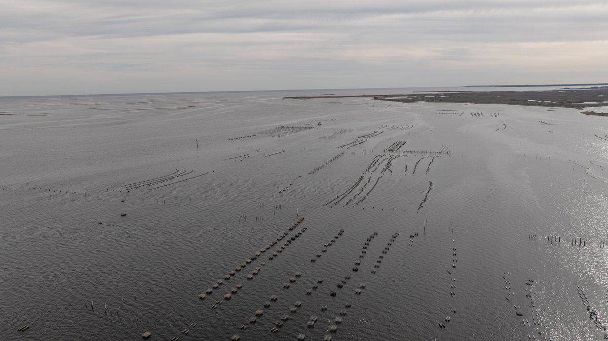 Image for 5 Aquaculture Oyster Leases in Oyster Bay, Florida