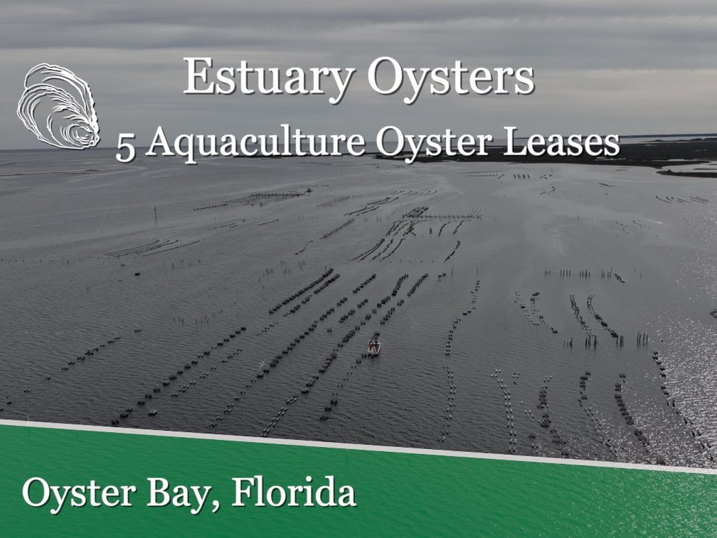 Image for 5 Aquaculture Oyster Leases in Oyster Bay, Florida