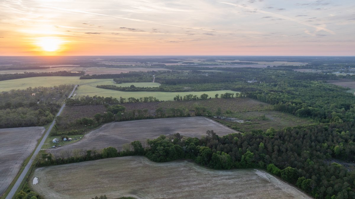 Image for 45+/- Acres - Fowl Hill Farms - Recreational Property w/ Row Crop Farmland