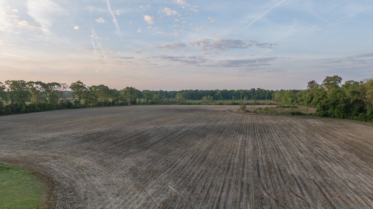 Image for 45+/- Acres - Fowl Hill Farms - Recreational Property w/ Row Crop Farmland
