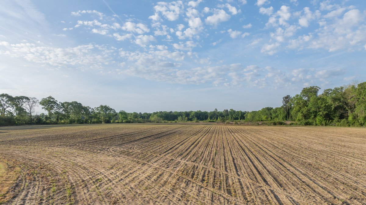 Image for 45+/- Acres - Fowl Hill Farms - Recreational Property w/ Row Crop Farmland