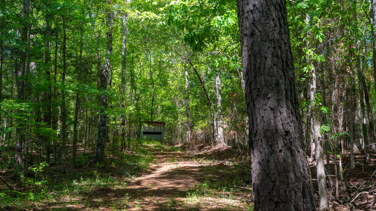 Image for Tobler Creek Place - 107.55 +/- Total Acres - Pristine Recreational Acreage w/ Homesite Potential