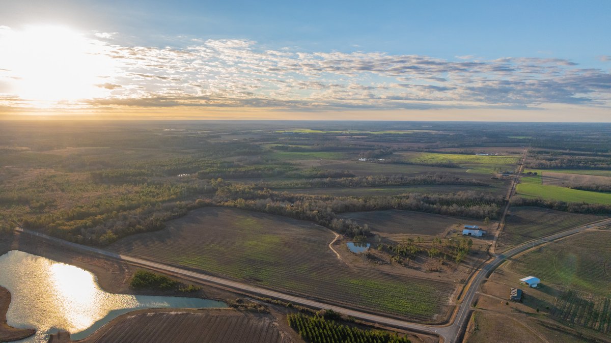 Image for 294+/- Acres – Hester Farm - Exceptional Hunting Opportunity - Versatile Farmland, Timber, & Ponds Offered Divided & as a Whole