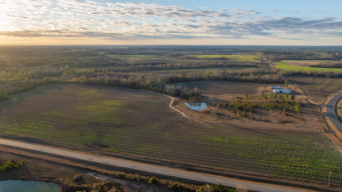 Image for 294+/- Acres – Hester Farm - Exceptional Hunting Opportunity - Versatile Farmland, Timber, & Ponds Offered Divided & as a Whole