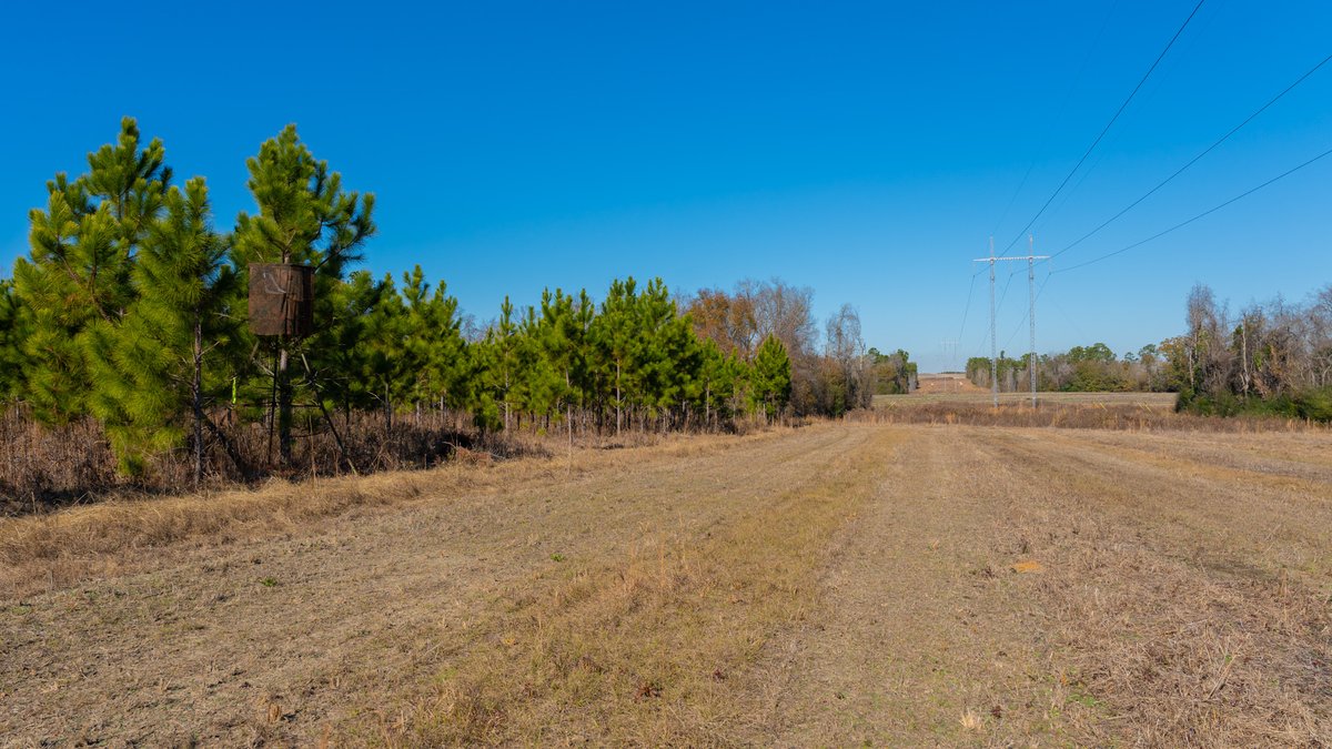 Image for 294+/- Acres – Hester Farm - Exceptional Hunting Opportunity - Versatile Farmland, Timber, & Ponds Offered Divided & as a Whole