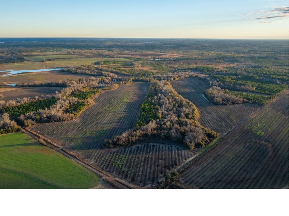 Image for 294+/- Acres – Hester Farm - Exceptional Hunting Opportunity - Versatile Farmland, Timber, & Ponds Offered Divided & as a Whole