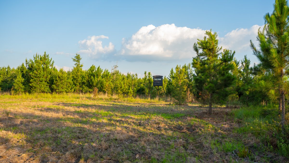 Image for 378 +/- Acres - The Lime Creek Place - (2) Prime Crisp County Recreational Tracts - Offered Divided & As a Whole