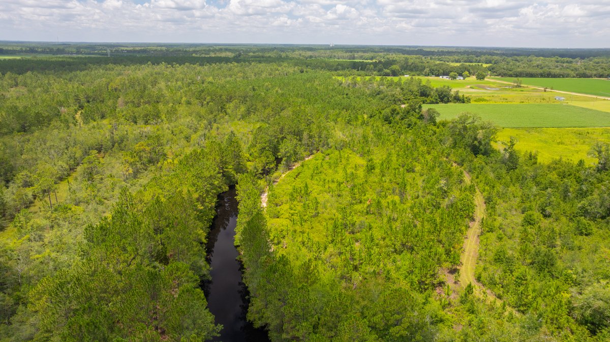 Image for 77± Acres - The Val Del Tract - Recreational and Homesite Opportunity