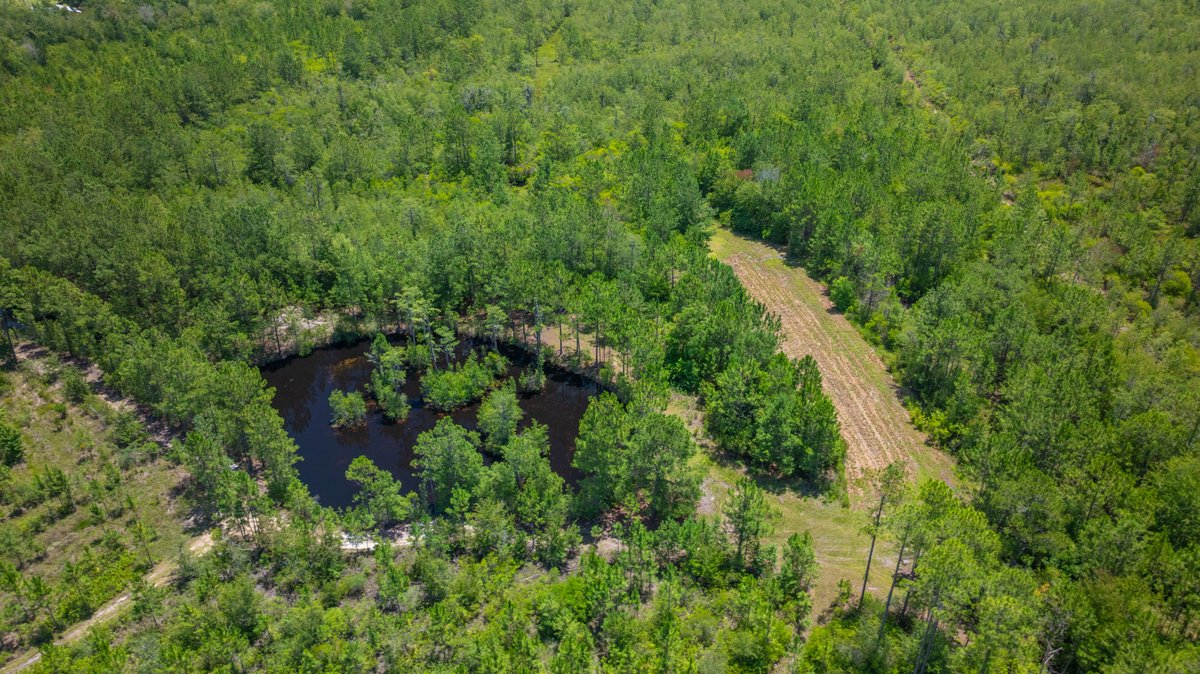 Image for 77± Acres - The Val Del Tract - Recreational and Homesite Opportunity
