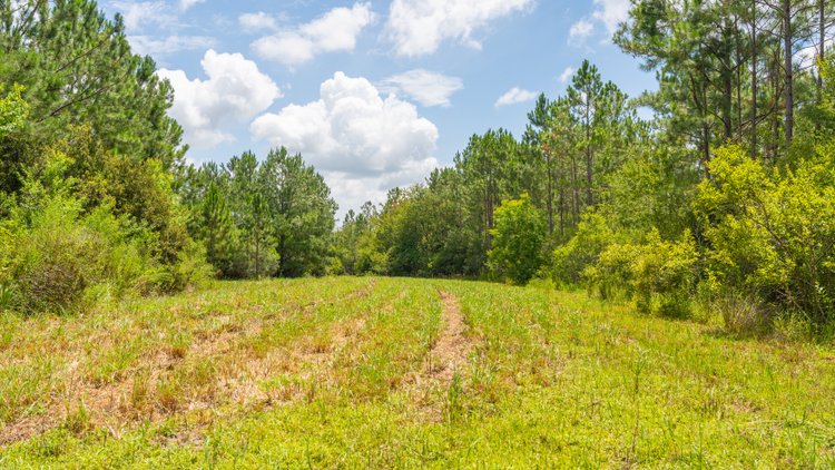 Image for 77± Acres - The Val Del Tract - Recreational and Homesite Opportunity