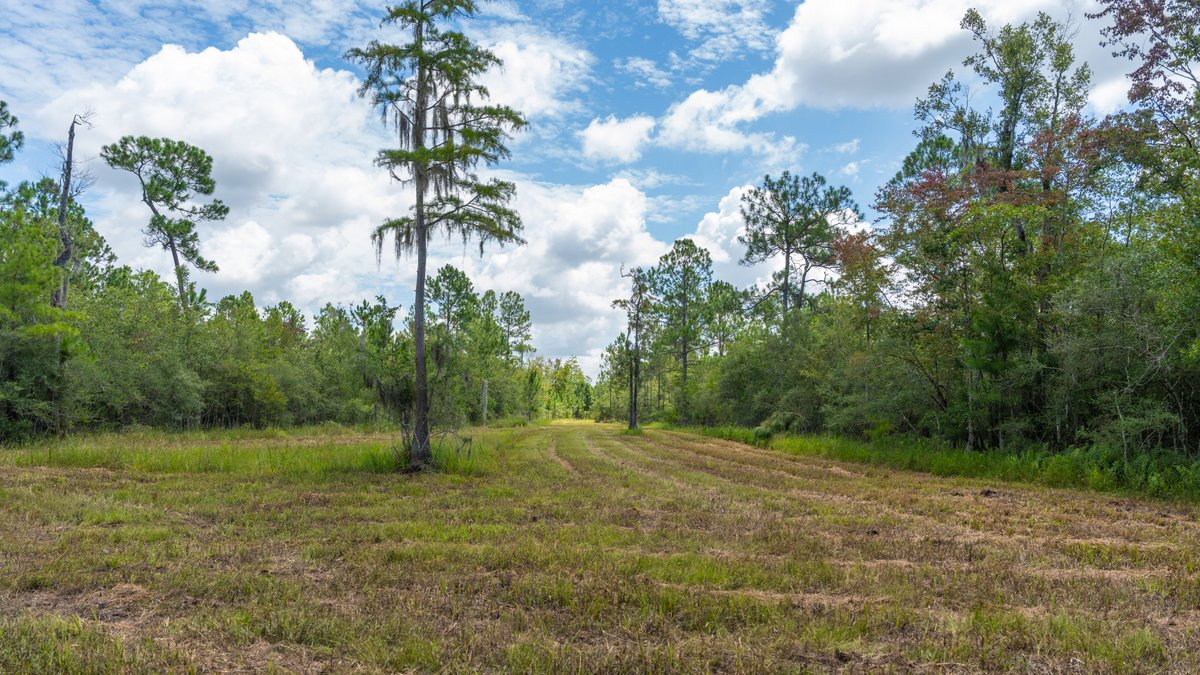 Image for 77± Acres - The Val Del Tract - Recreational and Homesite Opportunity
