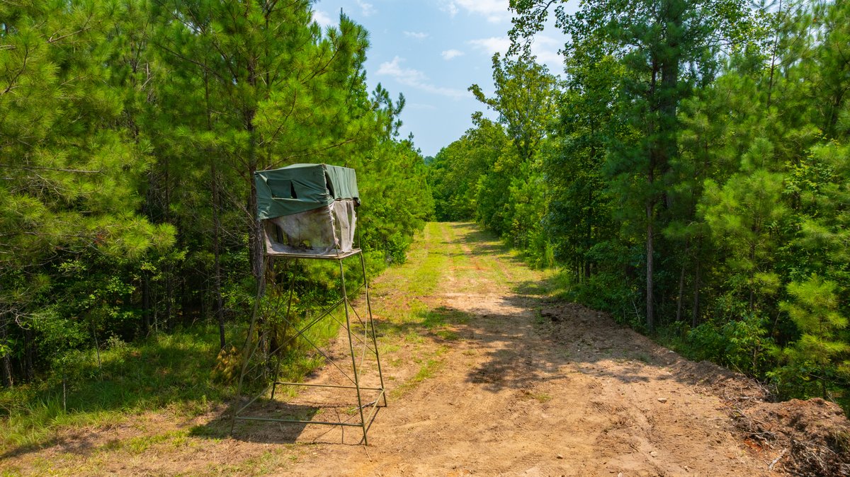 Image for The Martin Branch Retreat - 227± Acres - Crawford County, Georgia - Exceptional Hunting, Homesite Opportunities & Timber Investment