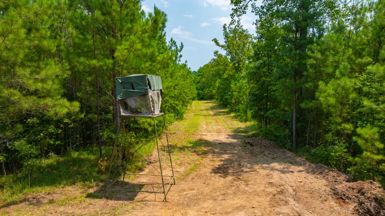 Image for The Martin Branch Retreat - 227± Acres - Crawford County, Georgia - Exceptional Hunting, Homesite Opportunities & Timber Investment