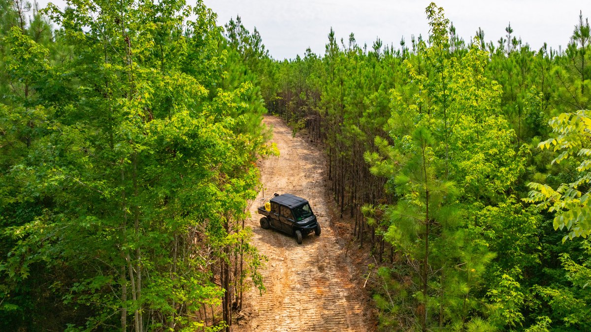 Image for The Martin Branch Retreat - 227± Acres - Crawford County, Georgia - Exceptional Hunting, Homesite Opportunities & Timber Investment