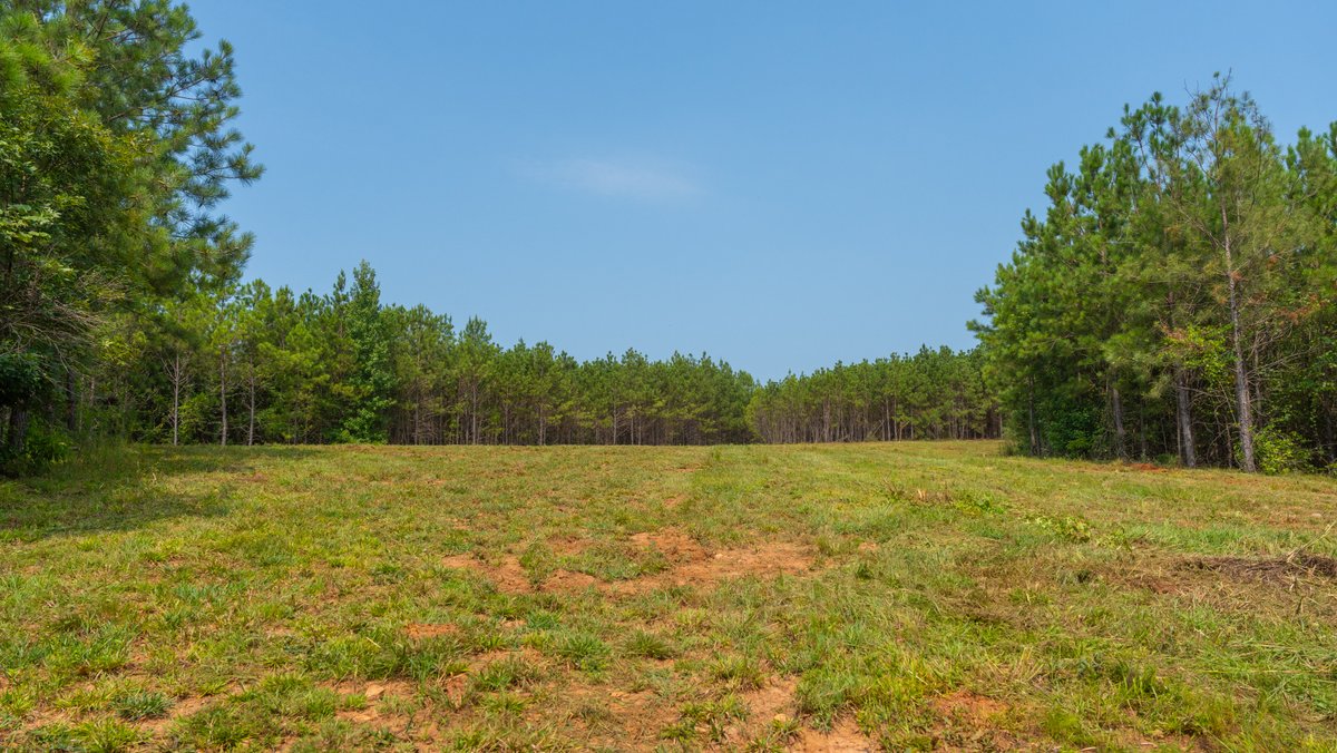Image for The Martin Branch Retreat - 227± Acres - Crawford County, Georgia - Exceptional Hunting, Homesite Opportunities & Timber Investment