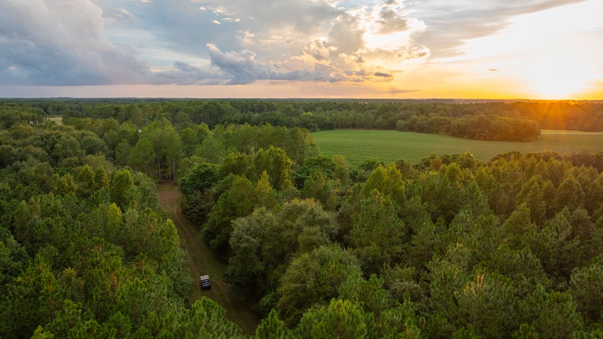 Image for The Moore Farm - 258± Acres - Row Crop Farmland, Timber, Creek Bottoms, & Food Plots - Premier Recreational Tracts w/ Improvements
