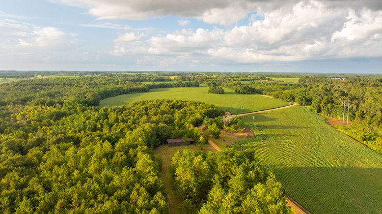 Image for The Moore Farm - 258± Acres - Row Crop Farmland, Timber, Creek Bottoms, & Food Plots - Premier Recreational Tracts w/ Improvements