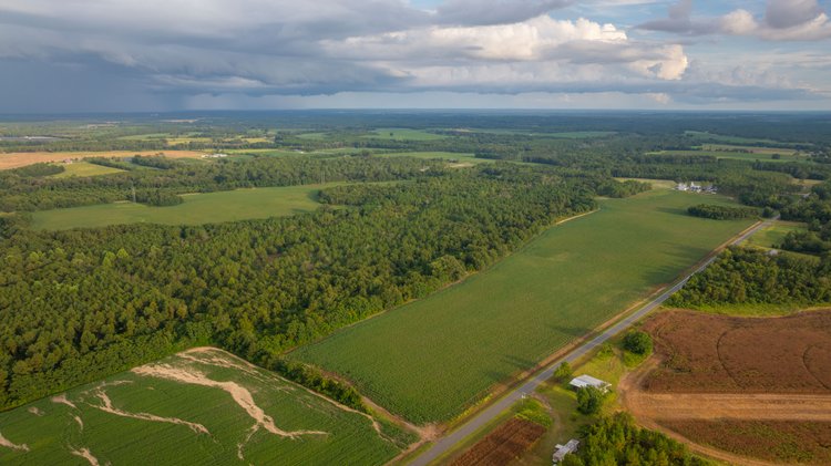 Image for The Moore Farm - 258± Acres - Row Crop Farmland, Timber, Creek Bottoms, & Food Plots - Premier Recreational Tracts w/ Improvements