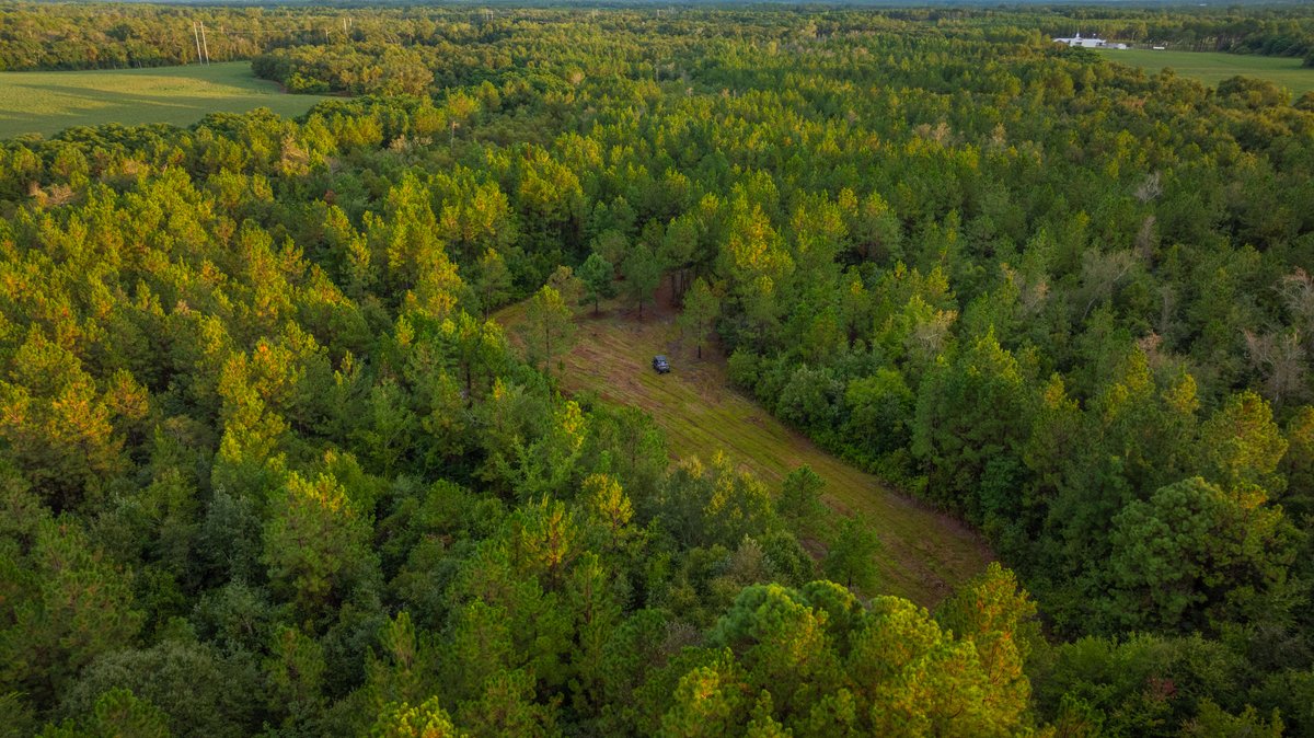 Image for The Moore Farm - 258± Acres - Row Crop Farmland, Timber, Creek Bottoms, & Food Plots - Premier Recreational Tracts w/ Improvements