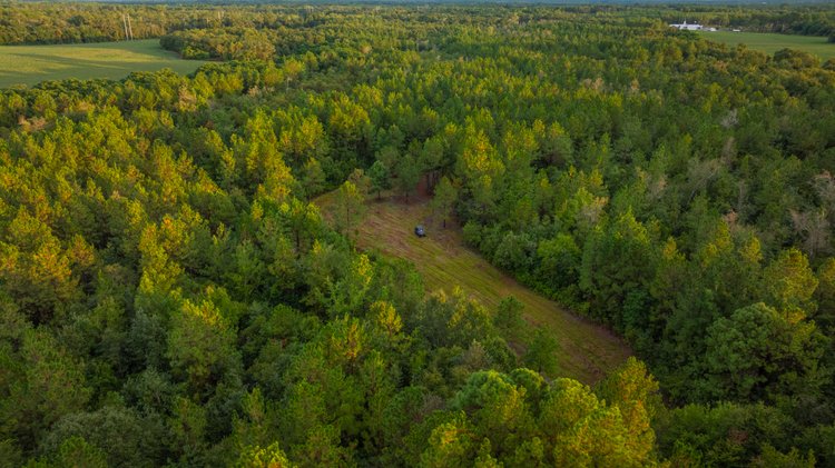 Image for The Moore Farm - 258± Acres - Row Crop Farmland, Timber, Creek Bottoms, & Food Plots - Premier Recreational Tracts w/ Improvements