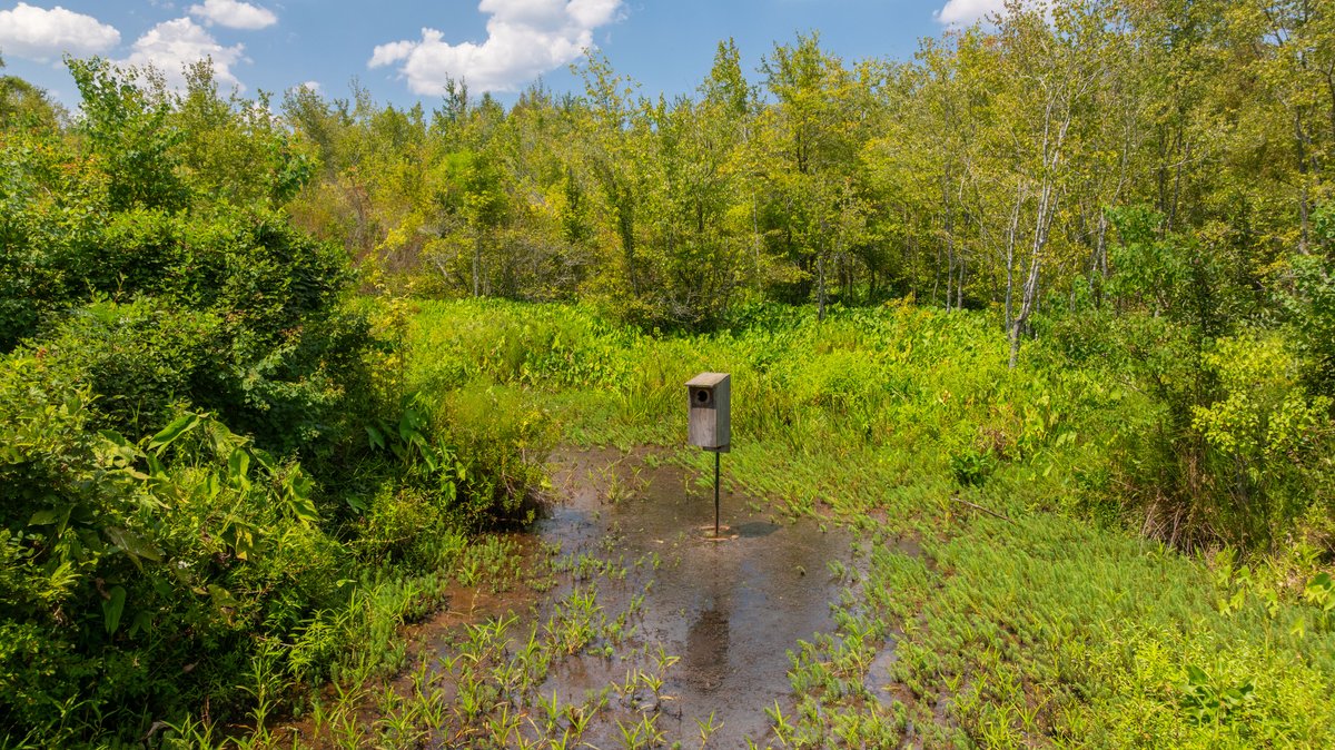 Image for The Rocky Creek Conservation Tract - 139± Acres - Macon, Georgia - Water, Wildlife, Recreation - Offered in 2 Tracts