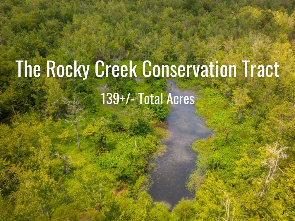 Image for The Rocky Creek Conservation Tract - 139± Acres - Macon, Georgia - Water, Wildlife, Recreation - Offered in 2 Tracts