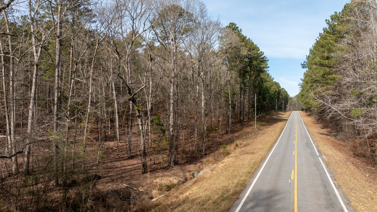 Image for 38.2 +/- Acres - Higgins Curve - Prime Building Lots w/ Recreational Acreage - Offered Divided & As A Whole