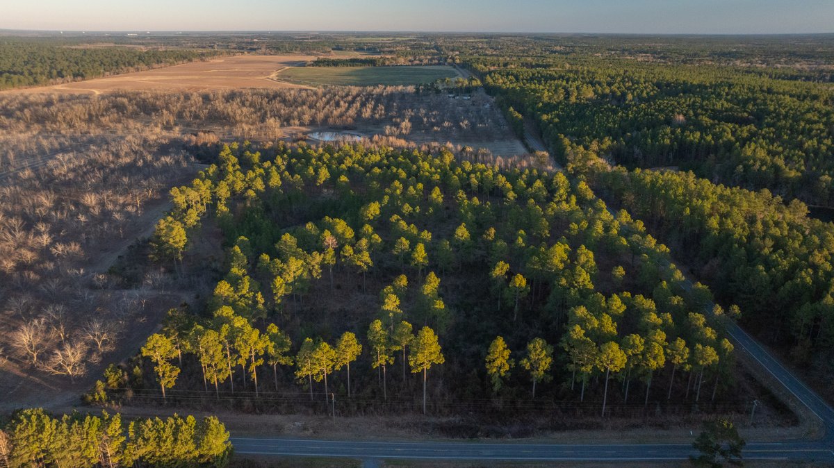Image for RESERVE HAS BEEN MET! 40.1 +/- Acres - Pleasant Grove Pines (2) Potential Homesites w/ Recreational Acreage