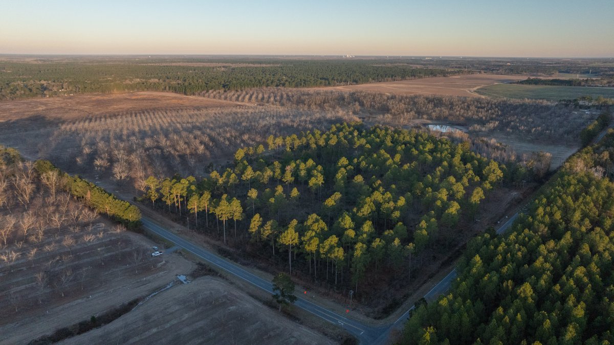 Image for RESERVE HAS BEEN MET! 40.1 +/- Acres - Pleasant Grove Pines (2) Potential Homesites w/ Recreational Acreage