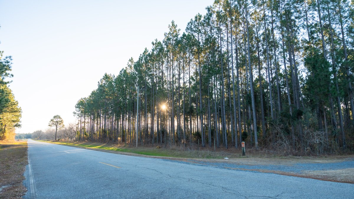 Image for RESERVE HAS BEEN MET! 40.1 +/- Acres - Pleasant Grove Pines (2) Potential Homesites w/ Recreational Acreage