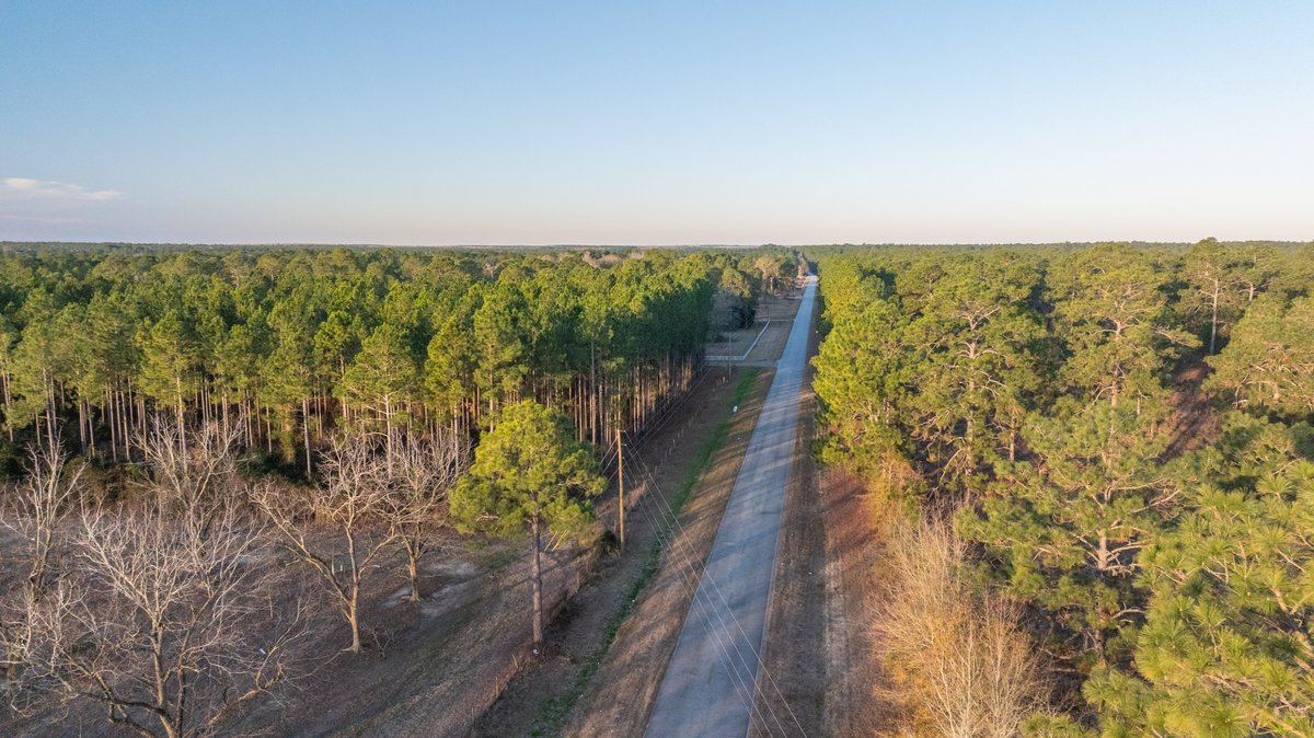 Image for RESERVE HAS BEEN MET! 40.1 +/- Acres - Pleasant Grove Pines (2) Potential Homesites w/ Recreational Acreage