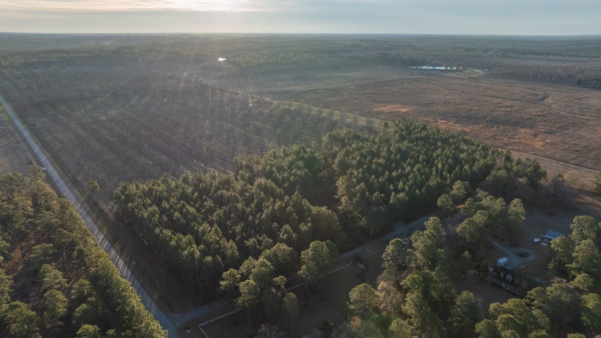 Image for RESERVE HAS BEEN MET! 40.1 +/- Acres - Pleasant Grove Pines (2) Potential Homesites w/ Recreational Acreage
