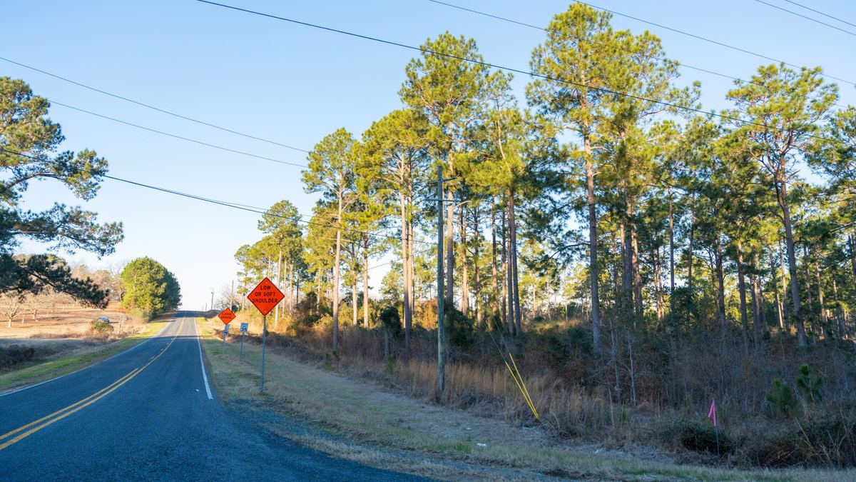 Image for RESERVE HAS BEEN MET! 40.1 +/- Acres - Pleasant Grove Pines (2) Potential Homesites w/ Recreational Acreage