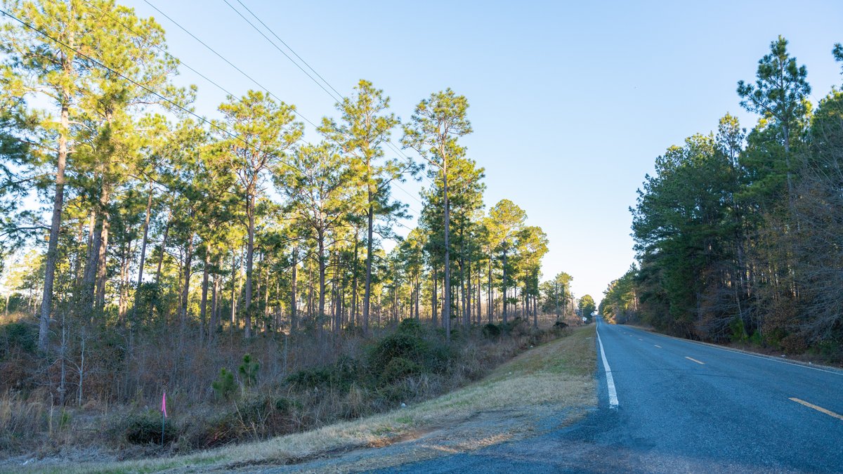 Image for RESERVE HAS BEEN MET! 40.1 +/- Acres - Pleasant Grove Pines (2) Potential Homesites w/ Recreational Acreage